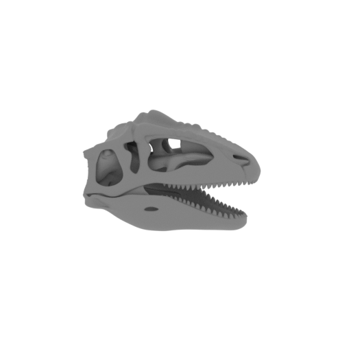 Gigantoscelus Skull.stl