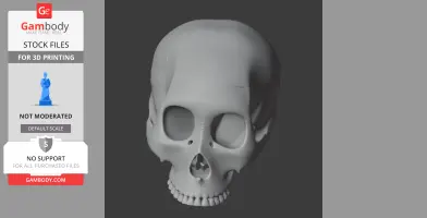 A 3D-rendered skull model for printing, showcasing detailed facial features and teeth on a dark background.