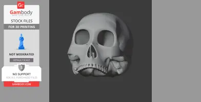 A detailed 3D model of a human skull with large eye sockets, suitable for 3D printing.