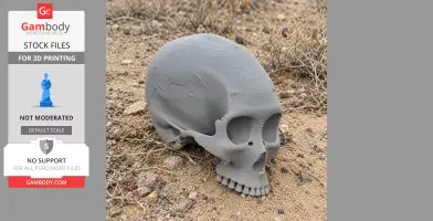 A 3D-printed gray skull model resting on sandy terrain with scattered rocks and dry vegetation.