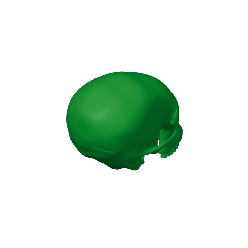 Haolong Skull.3mf