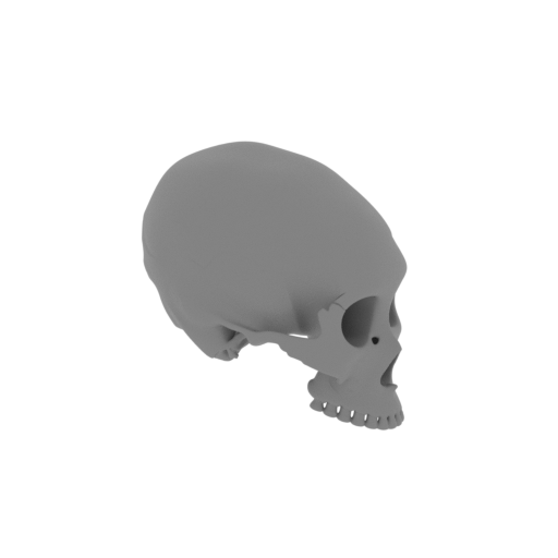 Haolong Skull.stl