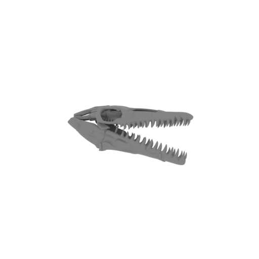 Heilongjiangosaurus Skull.stl