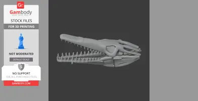 3D model of a Hisanohamasaurus skull, showing elongated jaws and sharp teeth, ready for 3D printing.