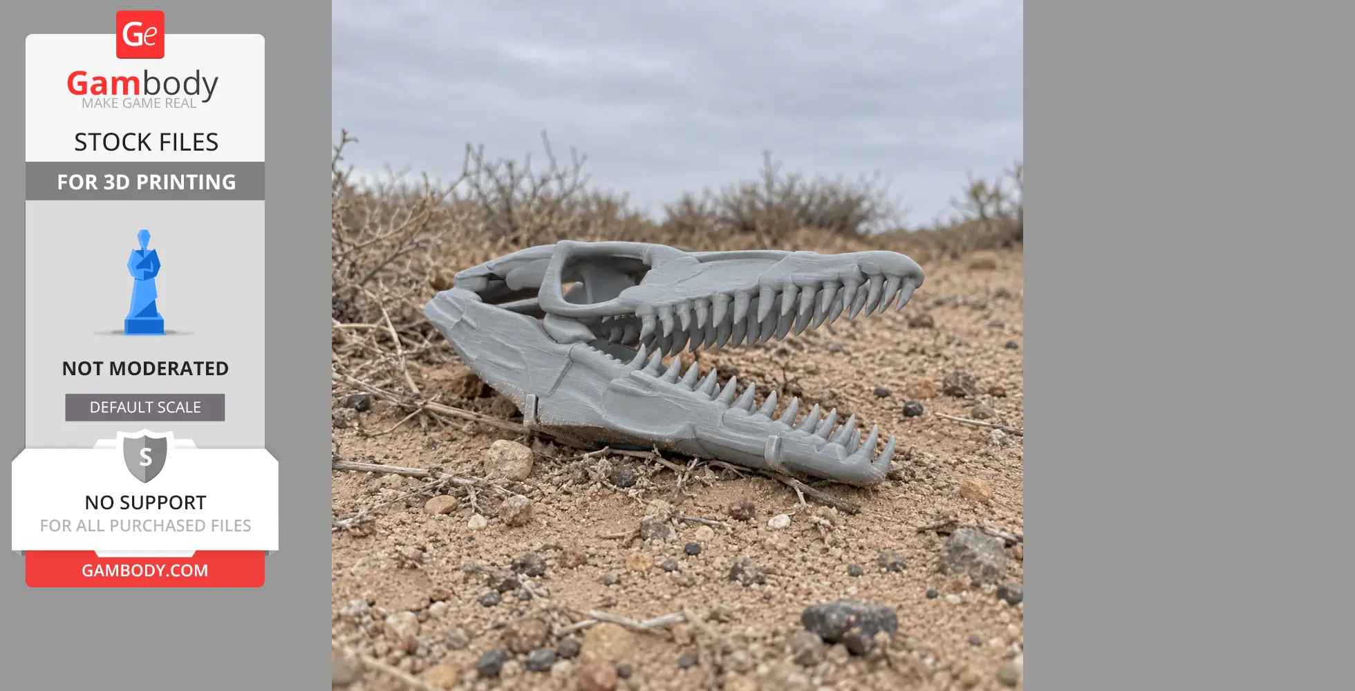 A 3D-printed dinosaur skull replica lies on rocky, sandy ground, showcasing sharp teeth.