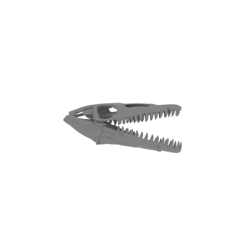 Hisanohamasaurus Skull.stl
