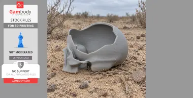 3D-printed Ibirania skull replica on a sandy terrain with sparse vegetation.
