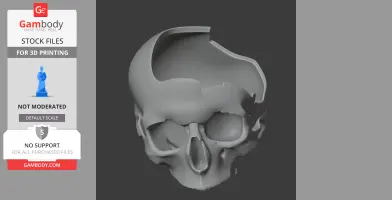 3D model of a dinosaur skull replica with missing top parts, designed for 3D printing.
