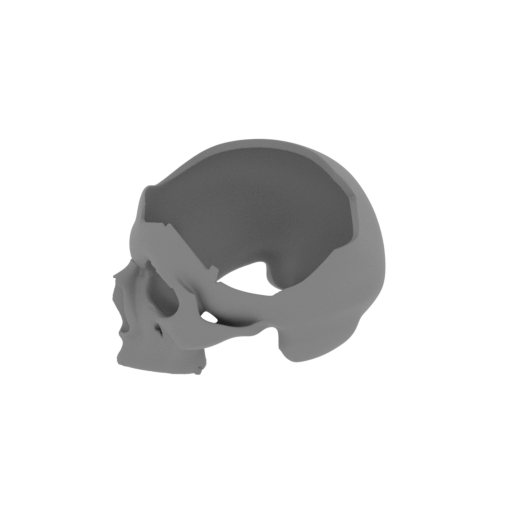 Ibirania Skull.stl