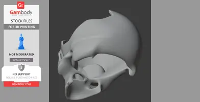 3D model of an Ibirania dinosaur skull, designed for 3D printing.