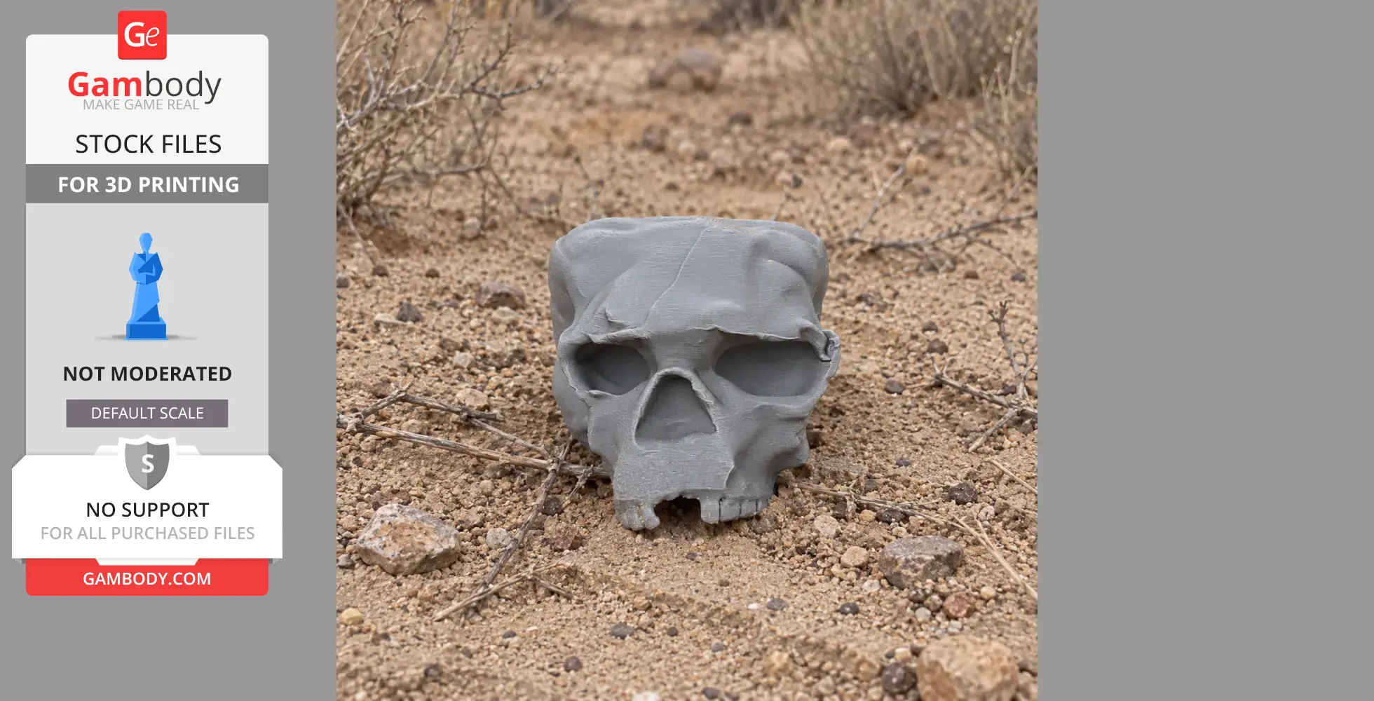 A 3D-printed gray skull rests on sandy, rocky terrain with sparse vegetation.