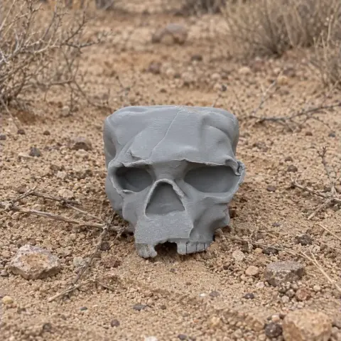 A 3D-printed gray skull model lies on dry, rocky ground.