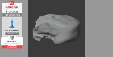 A detailed 3D model of an irregularly shaped skull, designed for 3D printing.