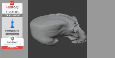 A detailed 3D model of a skull viewed from the side, designed for 3D printing.