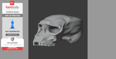 A 3D model of an abstract, elongated skull with detailed features on a dark background.