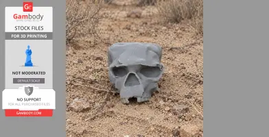 A 3D-printed gray skull rests on sandy, rocky terrain with sparse vegetation.