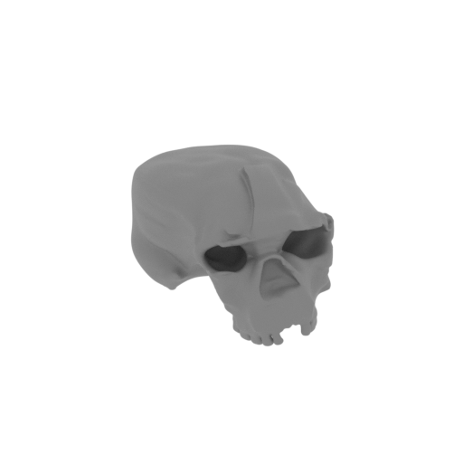 Ikqaumishan Skull.stl