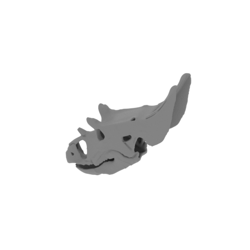 Judiceratops Skull.stl