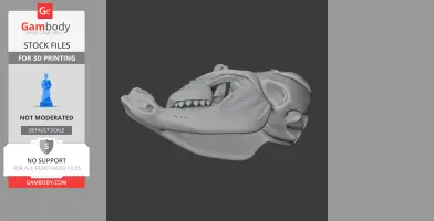 3D model of a Kryptops dinosaur skull, angled side view, ready for 3D printing.