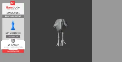 3D model of Abdim's stork, front view, with detailed body and legs for printing.