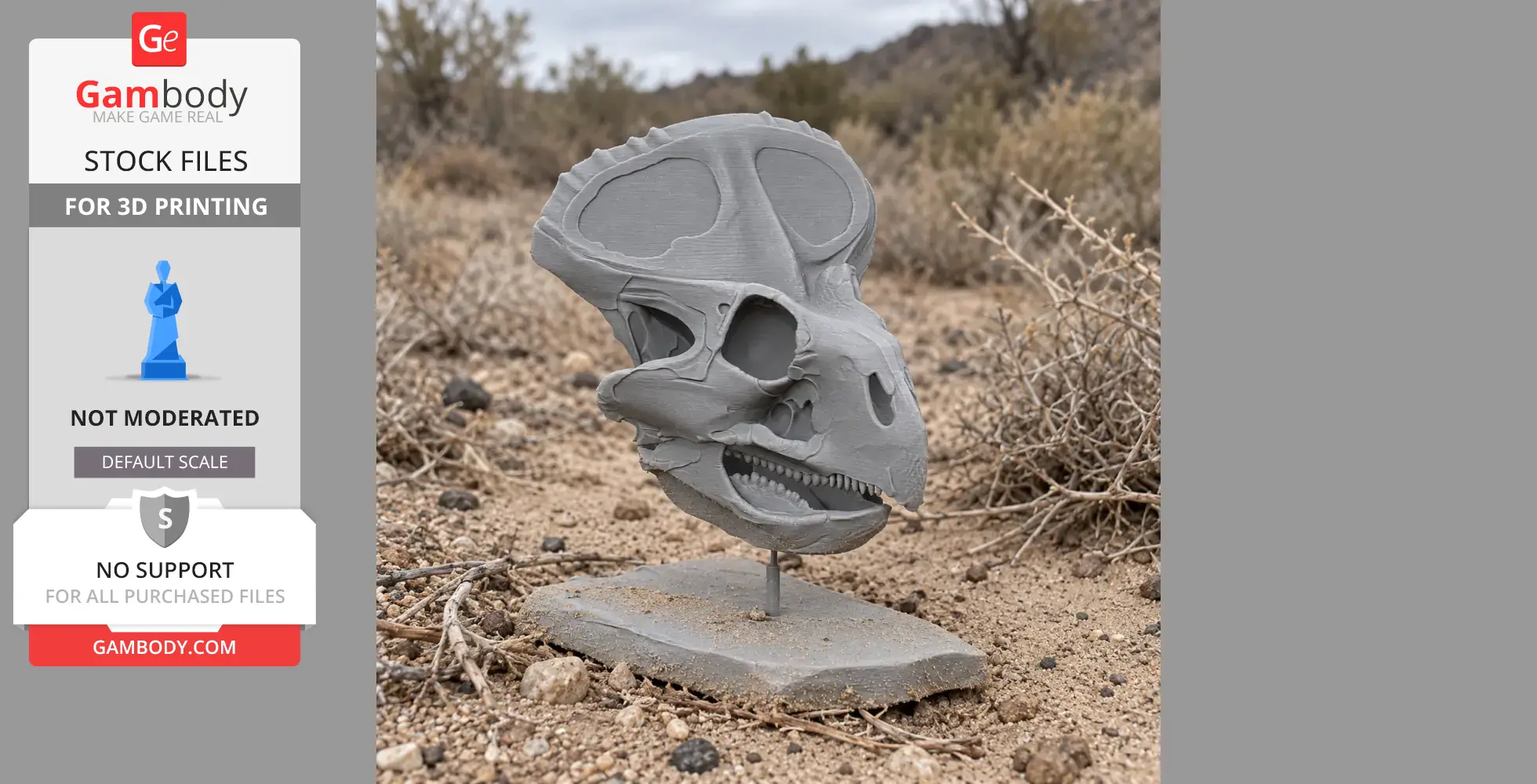 3D-printed Lamaceratops skull model on a stand in a desert landscape.