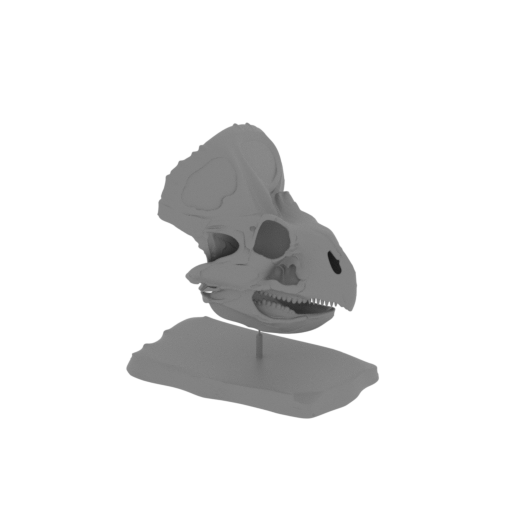 Lamaceratops Skull.stl