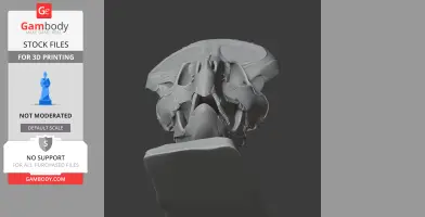3D model of a Lamaceratops skull viewed from the front, showcasing detailed fossil features.