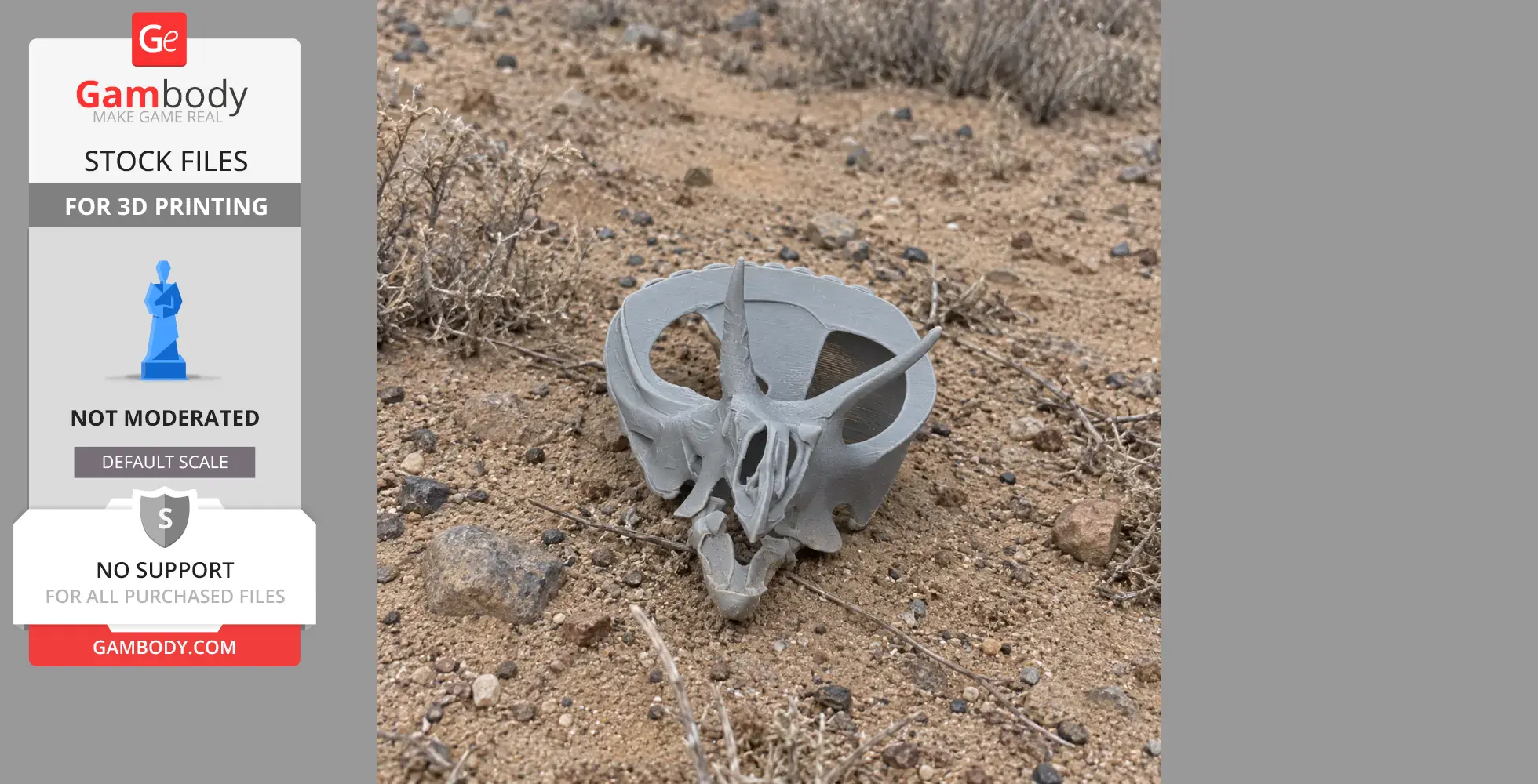 A 3D-printed Lepidocheirosaurus skull replica on sandy ground with dry grass.