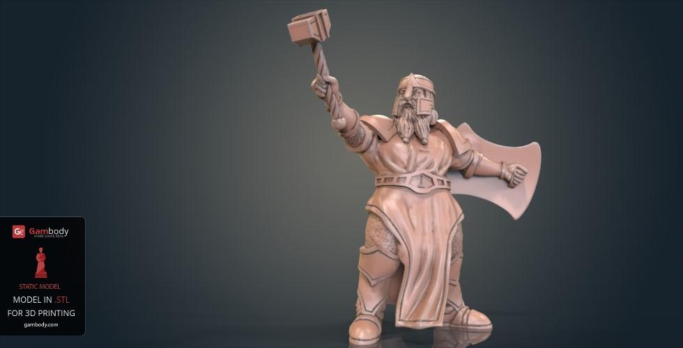 Buy Dwarf Cleric Warrior 3D Printing Figurine | Static
