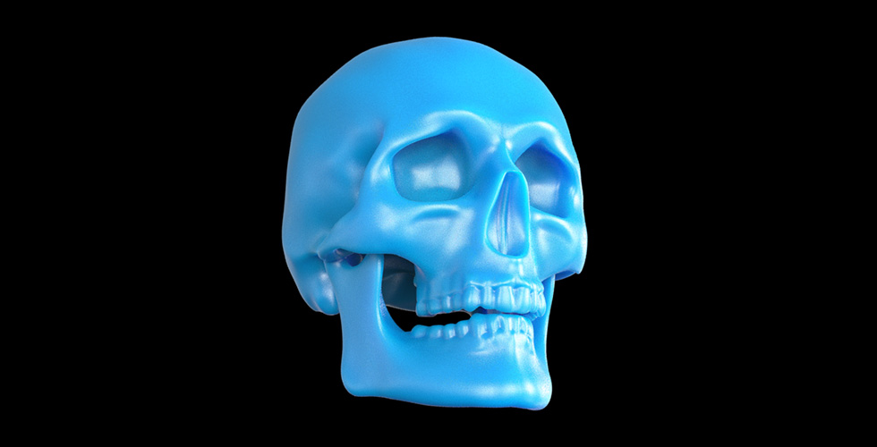 Skull_Front-Right.jpg