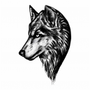 avatar of Black Wolf