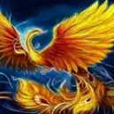 birds_live 