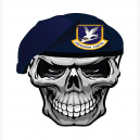  Falconp51 