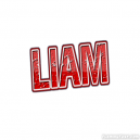 avatar of Liam Morgan