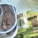  GreyRaven02 